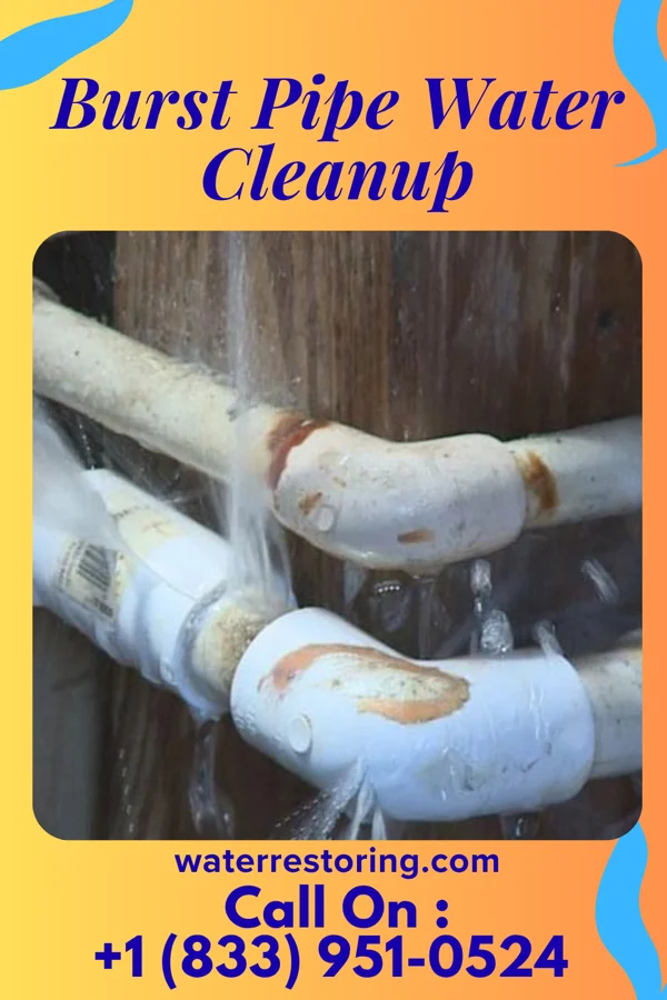 Burst Pipe Water Cleanup in Agricola, MS