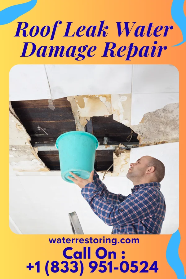 Roof Leak Water Damage Repair in Agricola, MS