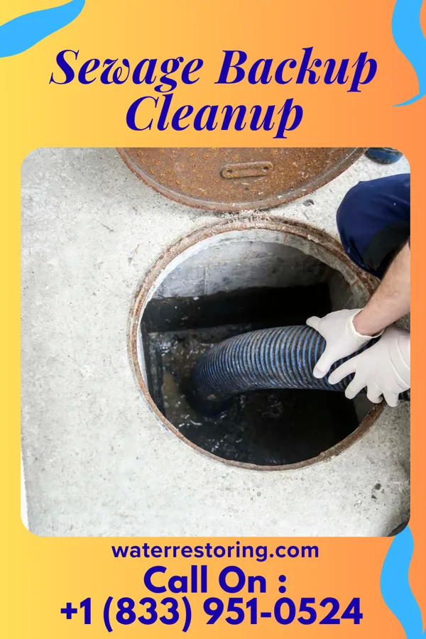 Sewage Backup Cleanup in Agricola, MS